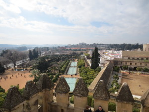 view of Cordoba from the top of the cathedral