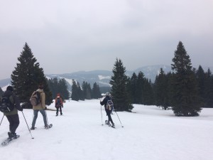 snowshoeing in the black forest