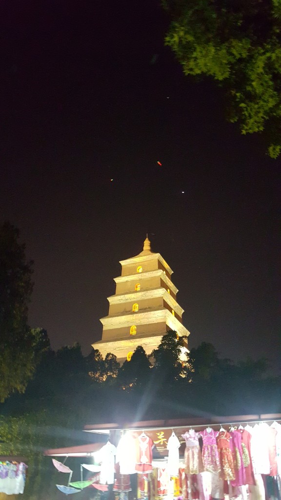 We didn't have access to the Pagoda at night, but it was still beautiful from far away. 