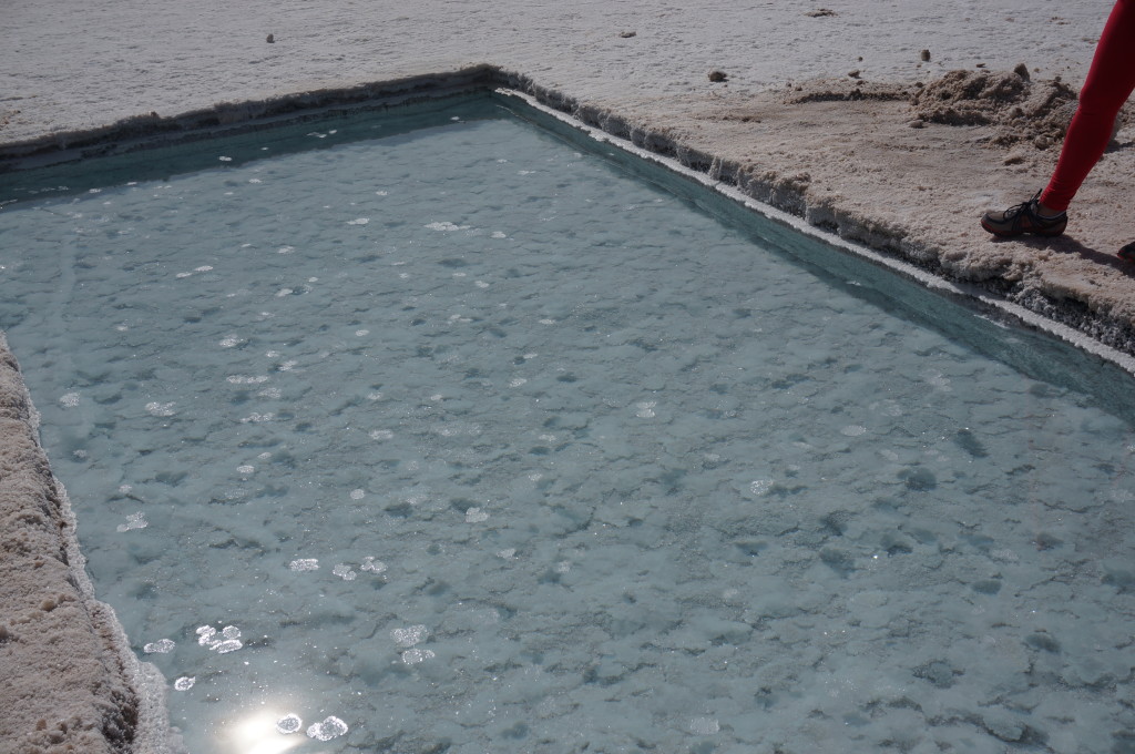 Pools made to extract the salt. 