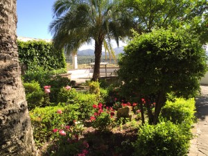 The secret garden of the Museo