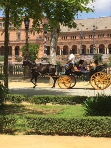 One of our other carriages on the opposite side of the street in front of the Plaza