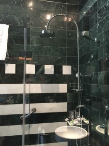 The beautiful shower with the head mounted on the wall (aka no need to hold it while showering)