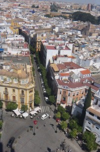 View from the top of the Cathedral bell tower in Sevilla