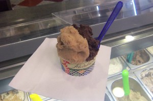 Ice Cream- flavors-rich chocolate and fig (the lighter color)
