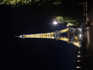 The Eiffel Tower literally sparkling at night