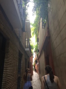 Walking through a narrow, shaded Sevilla Street