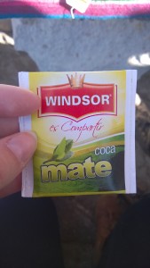 Tea made from coca leaves called mate