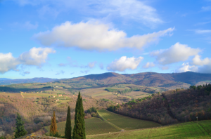 A view of Chianti from Gino's vineyard