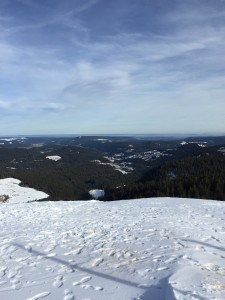 View of the valley from the top of Feldberg!