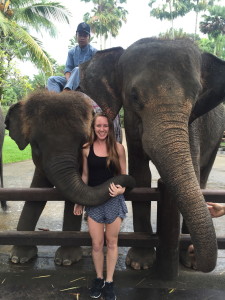 Posing with a few elephants