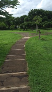Pathway through the park