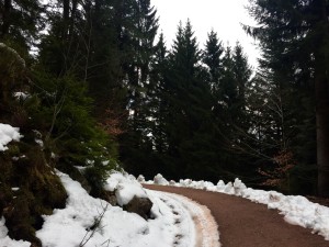 Hiking in the Schwarzwald, near Triberg