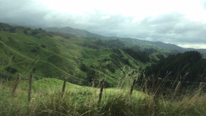 Scenic New Zealand countryside