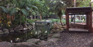 Botanic Gardens of Southbank