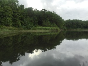 Muray River