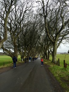 The Dark Hedges or the King's Road- you decide